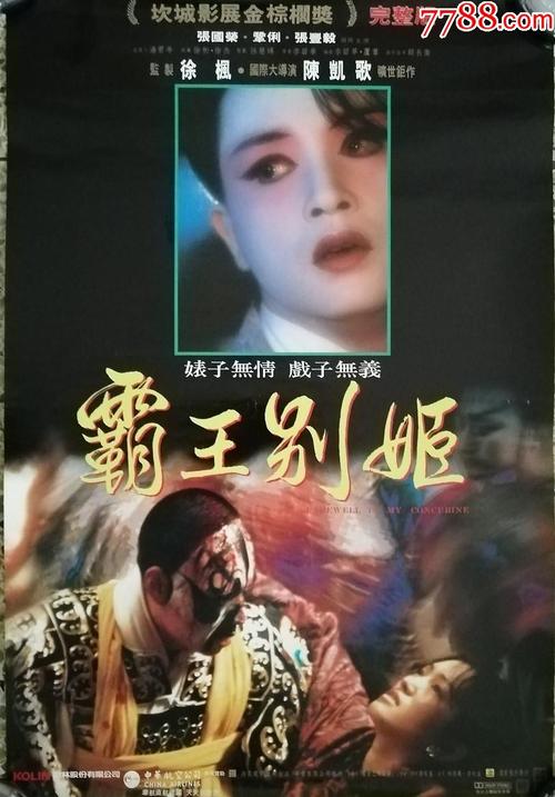 巴黎九大本科毕业证